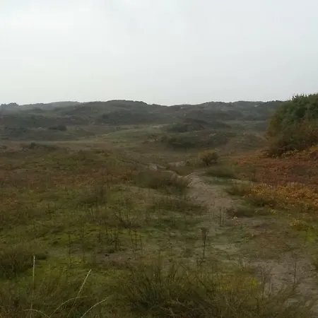 B&B Noordwijk Binnen-3