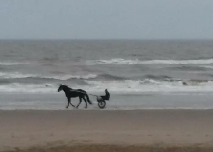 B&B Noordwijk Binnen
